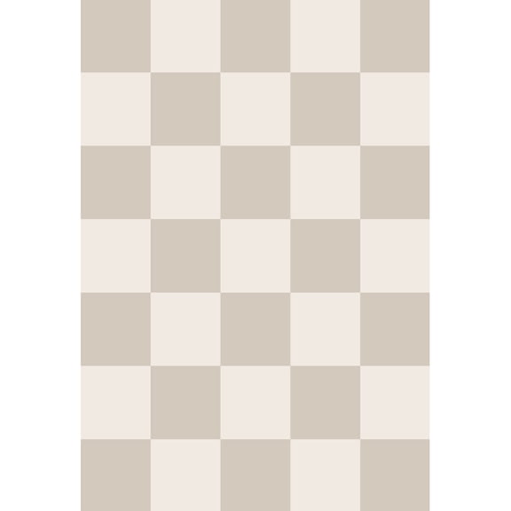 BERTHMEER 4'x6' Shag Area Rugs for Living Room Bedroom Kitchen Dorm Laundry Office Modern Checkered Contemporary Plush Soft Carpets Indoor Fuzzy Fluffy Washable Rugs, Beige White