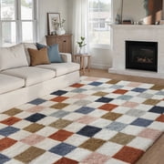 BERTHMEER 5'x8' Shag Fluffy Checkered Area Rugs for Living Room Bedroom Dorm Modern Contemporary Plush Fuzzy Soft Rugs Carpets, Multicolor