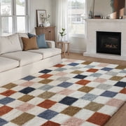 BERTHMEER 5'x8' Shag Area Rugs for Living Room, Fluffy Soft Rugs Carpets for Living Room Bedroom High-Plie Soft Checkered Rugs, Multicolor