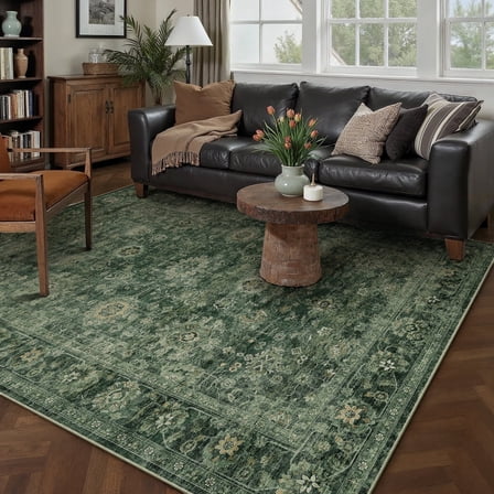 BERTHMEER 5'x7' Area Rugs for Living Room Bedroom Rugs Kitchen Non Slip Washable Vintage Green Carpets Oriental Distressed Office Dorm Dining Room Traditional Distressed Throw Rugs