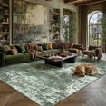 thumbnail image 1 of BERTHMEER 5'x7' Area Rugs for Living Room Dining Room Bedroom Farmhouse Office Modern Abstract Contemporary Distressed Washable Non Slip Indoor Deep Green Rugs Carpets, 1 of 6