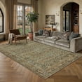 thumbnail image 1 of BERTHMEER 5'x7' Area Rugs for Living Room Kitchen Bedroom Rugs Non Slip Washable Vintage Brown Carpets Oriental Distressed Office Dorm Dining Room Traditional Distressed Throw Rugs, 1 of 8