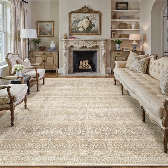 BERTHMEER 5'x7' Area Rugs for Living Room Rug for Bedroom Kitchen Non Slip Washable Vintage Beige Carpets Oriental Distressed Office Dorm Dining Room Traditional Distressed Throw Rugs