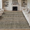 thumbnail image 1 of BERTHMEER 5'x7' Area Rugs for Living Room Rug for Bedroom Kitchen Non Slip Washable Vintage Taupe Carpets Oriental Distressed Office Dorm Dining Room Traditional Distressed Throw Rugs, 1 of 8