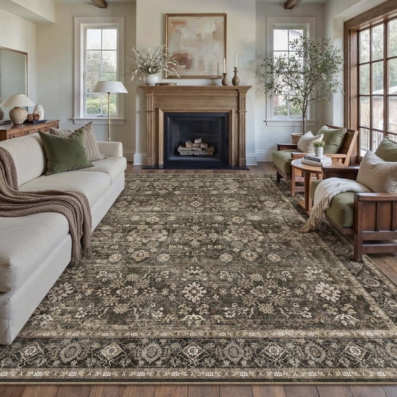 BERTHMEER 5'x7' Area Rugs for Living Room Vintage Brown Rugs for Bedroom Kitchen Non Slip Washable Carpets Oriental Distressed Home Office Dorm Dining Room Traditional Distressed Throw Rugs