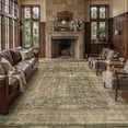 thumbnail image 1 of BERTHMEER 5'x7' Area Rugs for Living Room Vintage Brown Rugs for Bedroom Kitchen Non Slip Washable Carpets Oriental Distressed Home Office Dorm Dining Room Traditional Distressed Throw Rugs, 1 of 8