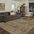thumbnail image 1 of BERTHMEER 5'x7' Area Rugs for Living Room Rugs for Bedroom Kitchen Dining Room Office Indoor Carpets Vintage Brown Non-slip Washable Traditional Distressed Throw Rugs, 1 of 8