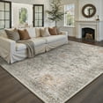 thumbnail image 1 of BERTHMEER 5'x7' Gray Taupe Area Rugs for Living Room Bedroom Dining Room Office Farmhouse Retro Traditional Vintage Non-slip Washable Throw Rugs, 1 of 6