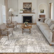 BERTHMEER 5'x7' Modern Abstract Area Rugs Beige Rugs for Living Room Bedroom Dining Room Office Farmhouse Distressed Mac