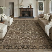BERTHMEER 5'x7' Vintage Brown Area Rugs for Living Room Bedroom Dining Room Farmhouse Traditional Oriental Office Rugs Machine Washable non-slip