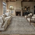 thumbnail image 1 of BERTHMEER 5'x7' Vintage Mossy Gray Area Rugs for Living Room Bedroom Kitchen Traditional Rugs Non Slip Washable Dorm Office Oriental Dining Room Distressed Throw Rugs Carpets, 1 of 10