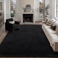 thumbnail image 1 of BERTHMEER 5'x8' Black Shag Area Rugs for Living Room Bedroom Fluffy Fuzzy Plush High-Plie Soft Washable Modern Contemporary Rugs Carpets, 1 of 5