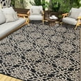 thumbnail image 1 of BERTHMEER 5'x8' Outdoor Rugs on Sale Clearance Patio Rugs Waterproof Plastic Straw Rugs, Camping Rugs, Porch, Balcony, Deck, Pool Rugs Black White, 1 of 5