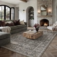 thumbnail image 1 of BERTHMEER 6'x9' Area Rugs for Living Room Bedroom Dining Room Farmhouse Office Kitchen Oriental Vintage Traditional Machine Washable Non Slip Indoor Rugs Carpets, Black, 1 of 8
