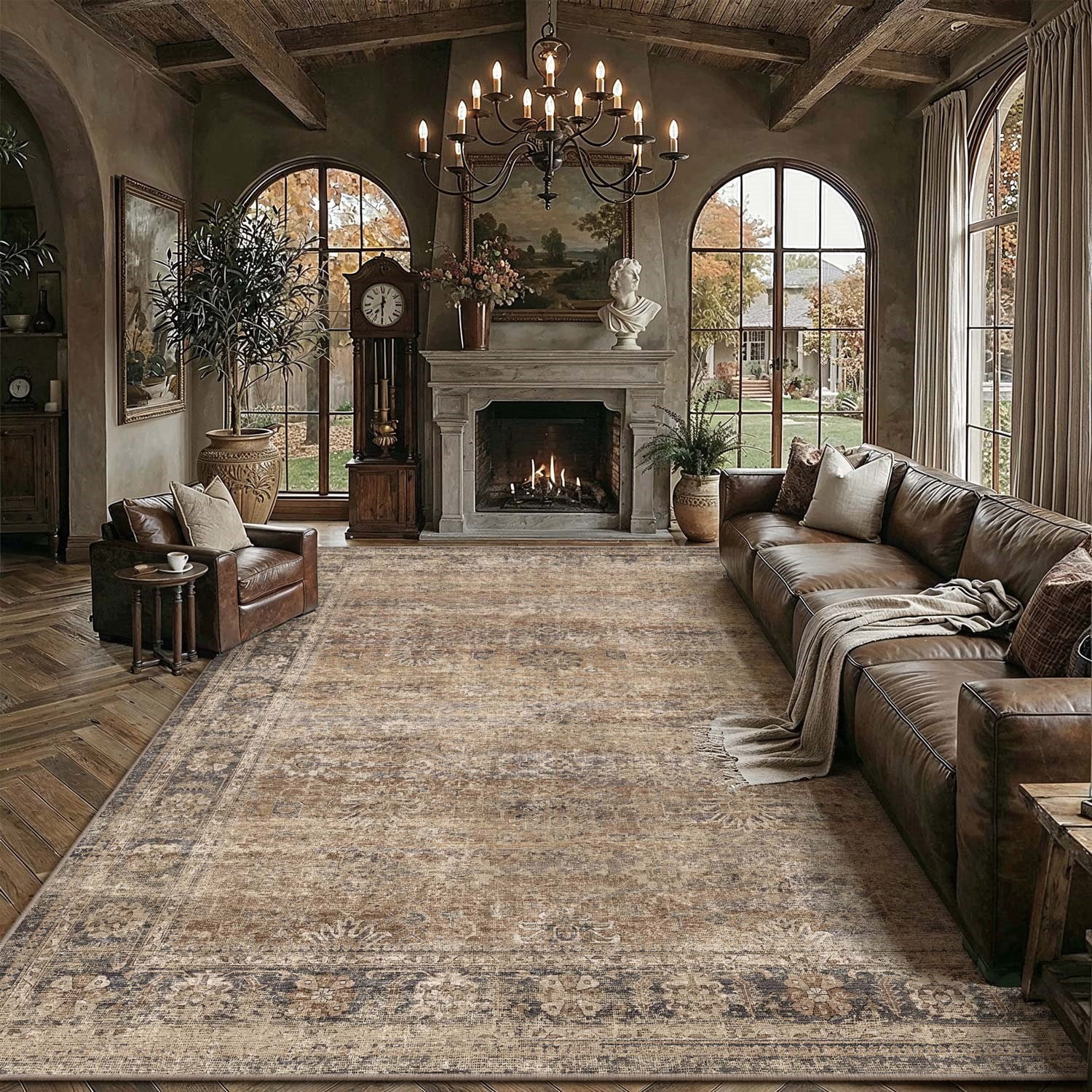 BERTHMEER 6'x9' Area Rugs for Living Room Bedroom Kitchen Rugs Clearance Washable Non Slip Brown Vintage Traditional Dorm Office Dining Room Farmhouse Oriental Rugs Carpets, Brown