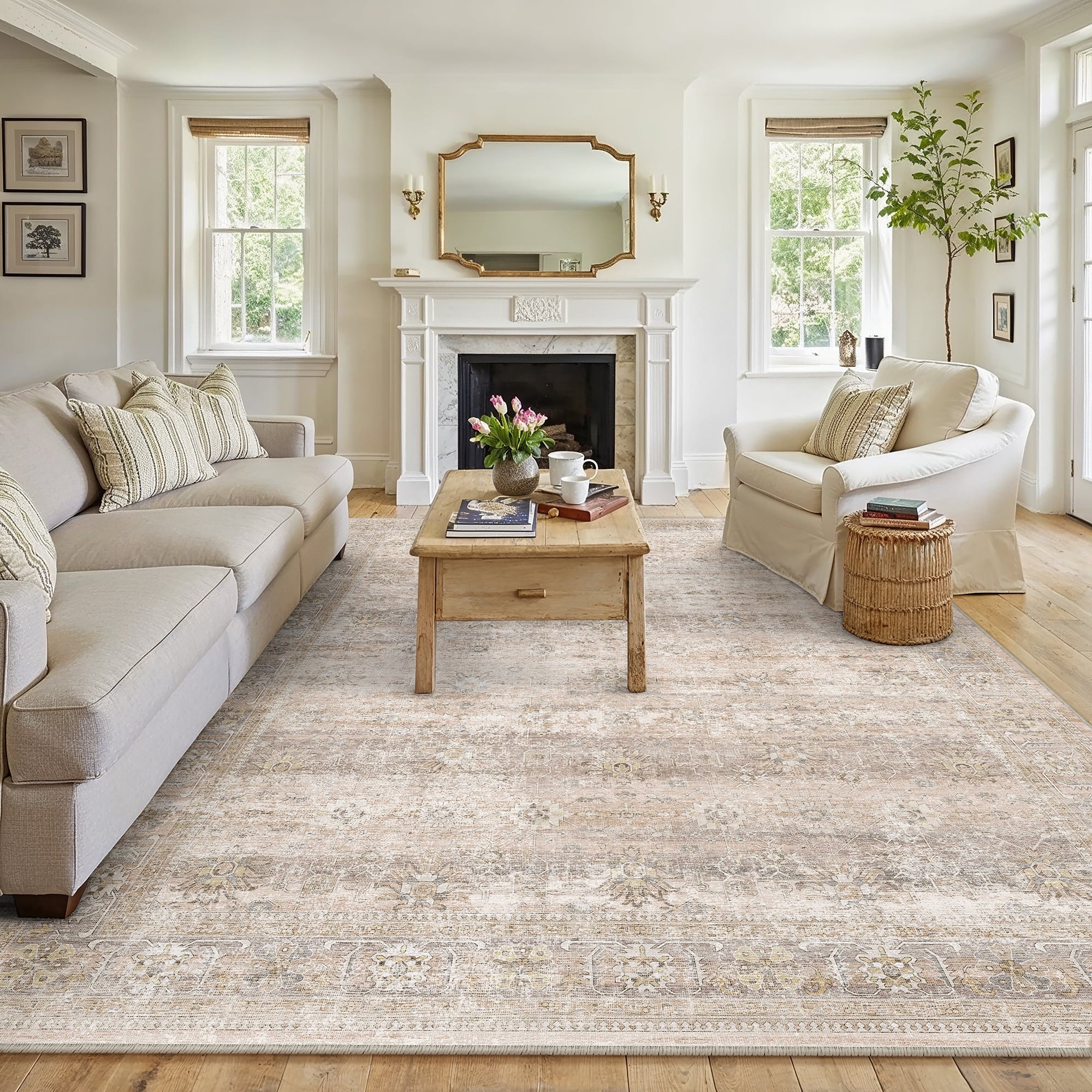 BERTHMEER 6'x9' Area Rugs for Living Room Bedroom Kitchen Rugs Non Slip Vintage Traditional Office Dining Room Farmhouse Oriental Distressed Washable Rugs Carpets,Apricot