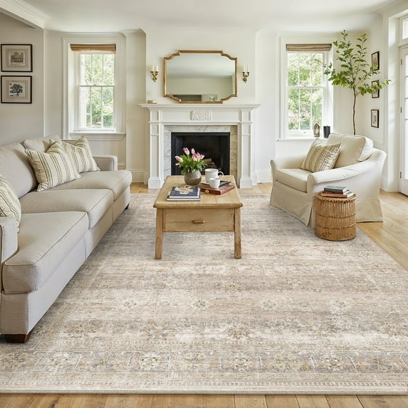 BERTHMEER 6'x9' Area Rugs for Living Room Bedroom Kitchen Rugs Non Slip Vintage Traditional Office Dining Room Farmhouse Oriental Distressed Washable Rugs Carpets,Apricot