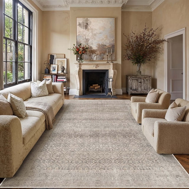 BERTHMEER 6'x9' Area Rugs for Living Room Bedroom Kitchen Rugs Office Dining Room Farmhouse Non Slip Vintage Traditional Oriental Distressed Washable Rugs Carpets,Beige
