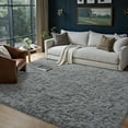 thumbnail image 1 of BERTHMEER 6'x9' Area Rugs for Living Room,Shag Ultra-Soft Bedroom Dinning Room Plush Pile Fluffy Modern Indoor Carpets Rugs,Light Gray, 1 of 5