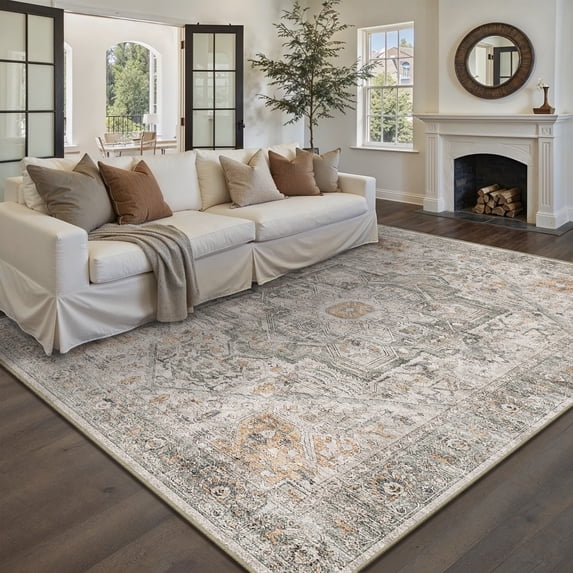 BERTHMEER 6'x9' Traditional Vintage Gray Taupe Area Rugs for Living Room Bedroom Dining Room Office Farmhouse Retro Distressed Non-slip
