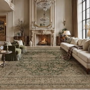 BERTHMEER 6x9 Vintage Area Rugs for Living Room Brown and Green Rugs for Bedroom Kitchen Non Slip Washable Carpets Office Farmhouse Dorm Dining Room Oriental Traditional Distressed Rugs