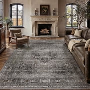 BERTHMEER 8x10 Area Rugs for Living Room Bedroom Vintage Brown Carpets Kitchen Office Machine Washable Farmhouse Dining Room Oriental Rugs Non Slip Traditional Distressed Rugs