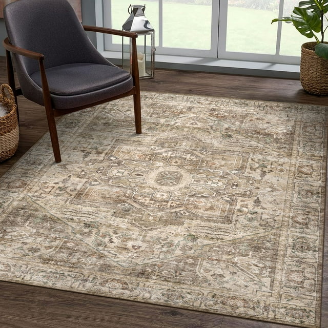 BERTHMEER 8'x10' Area Rugs for Living Room Bedroom Vintage Distressed