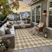 BERTHMEER 8'x10' Easy Jute Area Rugs for Living Room Modern Checkered Indoor/Outdoor Rugs for Patio Farmhouse Geometric Contemporary Washable Non Slip Large Rug