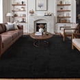 thumbnail image 1 of BERTHMEER 9'x12' Large Area Rugs for Living Room Bedroom Office Shag Plush Pile Soft Fluffy Fuzzy Modern Contemporary Indoor Carpets Rugs, Black, 1 of 4