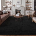 thumbnail image 1 of BERTHMEER 9'x12' Large Area Rugs for Living Room Bedroom Office Shag Plush Pile Soft Fluffy Fuzzy Modern Contemporary Indoor Carpets Rugs, Black, 1 of 5