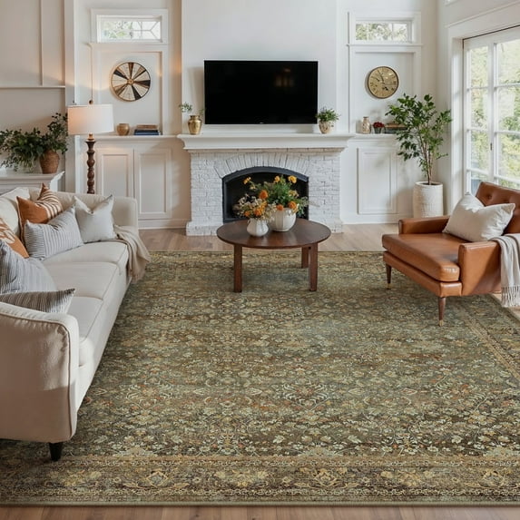 BERTHMEER 9'x12' Large Area Rugs for Living Room Bedroom Office Brown Vintage Non Slip Washable Farmhouse Dining Room Oriental Traditional Distressed Rugs