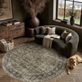 thumbnail image 1 of BERTHMEER Round Area Rugs 4'x4' Traditional Oriental Rugs for Living Room Bedroom Office Dining Room Non-slip Washable Vintage Distressed Rugs,Brown, 1 of 9