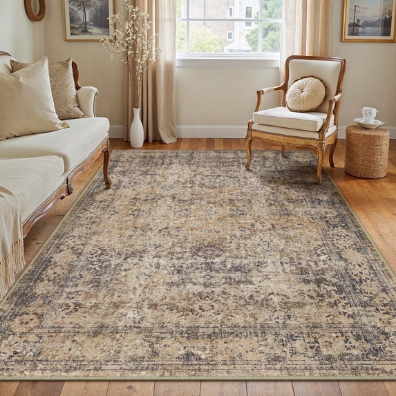 BERTHMEER Area Rugs 3'x5' for Bathroom Bedroom Kitchen Entryway Rugs Non Slip Washable Vintage Brown Carpets Oriental Dorm Office Entrance Traditional Distressed Throw Rugs