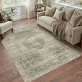thumbnail image 1 of BERTHMEER Small Area Rugs 3'x5' for Bedroom Bathroom Entryway Kitchen Laundry Rugs Non Slip Washable Light Brown Vintage Tawny Carpets Oriental Dorm Home Office Traditional Distressed Throw Rugs, 1 of 7