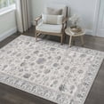 thumbnail image 1 of BERTHMEER Small Area Rugs 3'x5' for Bedroom Bathroom Entryway Kitchen Laundry Rugs Non Slip Washable Vintage Gray Carpets Oriental Dorm Office Entrance Traditional Distressed Throw Rugs, 1 of 7