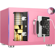 BESAFETY 0.25 Feet Cubic Safe Box, Money Lock Safes with Digital Keypad, USB Cable and Sensor Light, Security Safe for Home Office Hotel (Pink)