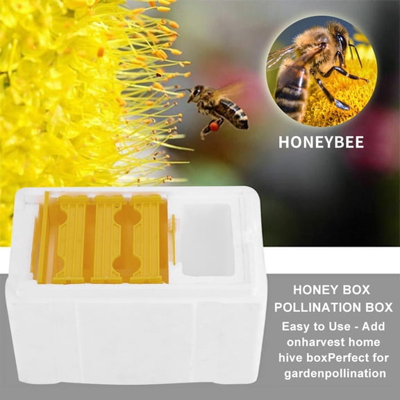 BESEW7 Beehive Bee Keeping Starter Kit Hive Bee Box Beekeeping Pollination Box Honey Frame Divider for Professional Queen Bee Breeding and Anti-Escape