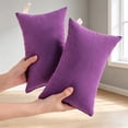 thumbnail image 1 of BESEW7 Microfiber Travel Pillowcases 2 Pack Soft Tiny Pillow Case Machine Washable for Camping Airplane Neck Back Support Dark Violet, 1 of 10