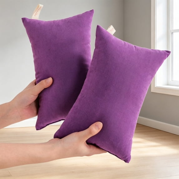 BESEW7 Microfiber Travel Pillowcases 2 Pack Soft Tiny Pillow Case Machine Washable for Camping Airplane Neck Back Support Dark Violet