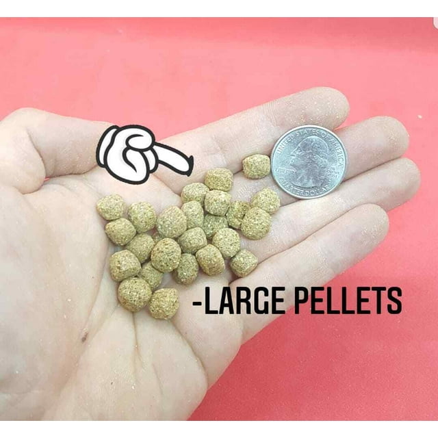 BEST Koi Goldfish Fish Food Floating Pond Pellets Medium or Lrg *CHOOSE*