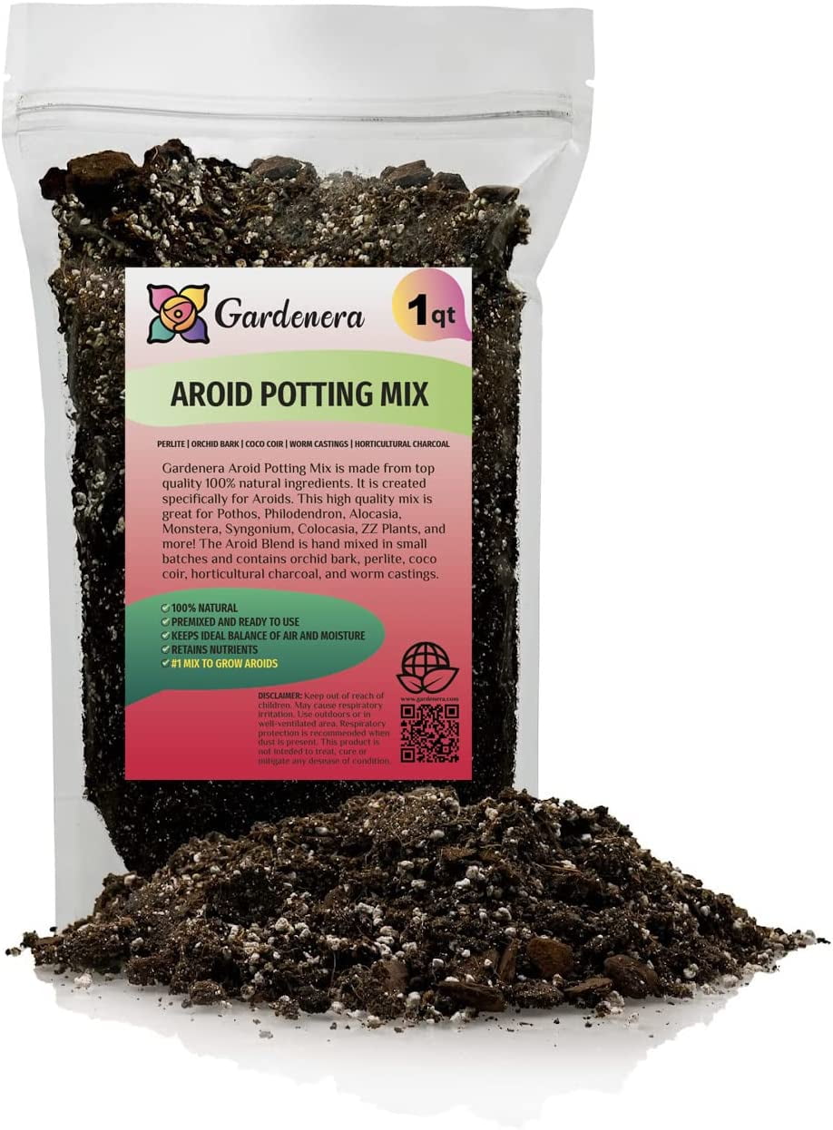 ⭐ BEST POTTING MIXES Aroid Potting Mix Soil Free Blend for Aroids