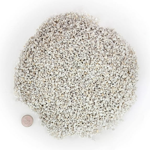 ⭐ BEST POTTING MIXES - Organic Perlite - (MADE IN UKRAINE ????) - Horticultural Soil Amendment for Indoor & Outdoor Container Plants for Drainage Management and Enhanced Growth - 10 Quart