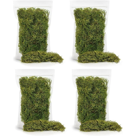 ⭐ BEST POTTING MIXES - Spanish Moss in Spring Green| Natural Preserved - Great Ground Cover - Filler for Potted Plants - by Gardenera - 20 Quart Bag