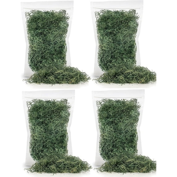 ⭐ BEST POTTING MIXES - Spanish Moss in Basil| Natural Preserved - Great Ground Cover - Filler for Potted Plants - by Gardenera - 20 Quart Bag