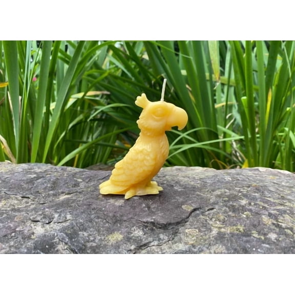 BEST- Parrot Beeswax Candles Usa Natural Bees Wax, Animal Collection, Feathers, Macaw