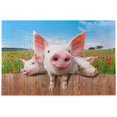 BESTKITTY Pig Babys with Poppy Flower 500 Piece Jigsaw Puzzles for