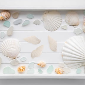 BESTONZON 100pcs White Mini Sea Shell Conches Craft Wedding Garden Aquarium Decoration