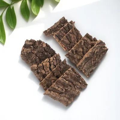 BESTONZON 10Pcs Cork Bark Decor Coffee Color Reptile Tree Bark for Terrarium