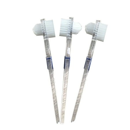BESTONZON 3pcs Transparent Brush False Teeth Cleaning Brush Double-sided Toothbrush Teeth Cleaning Tool