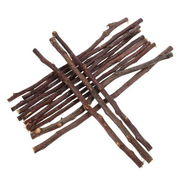 BESTONZON 50Pcs Brown Birch Twigs Wood Stems for Crafts and Home Decorations